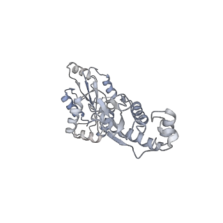 15784_8b0i_B_v1-3
CryoEM structure of bacterial RapZ.GlmZ complex central to the control of cell envelope biogenesis