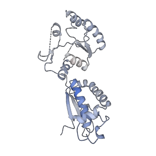 15784_8b0i_C_v1-3
CryoEM structure of bacterial RapZ.GlmZ complex central to the control of cell envelope biogenesis