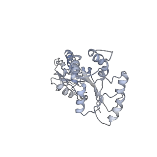 15784_8b0i_D_v1-3
CryoEM structure of bacterial RapZ.GlmZ complex central to the control of cell envelope biogenesis