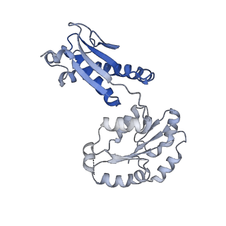 15785_8b0j_A_v1-3
CryoEM structure of bacterial RNaseE.RapZ.GlmZ complex central to the control of cell envelope biogenesis