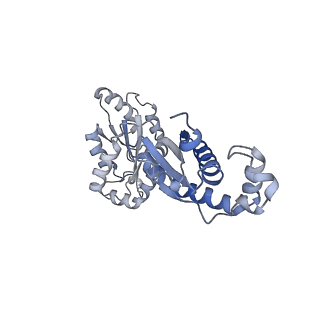 15785_8b0j_B_v1-3
CryoEM structure of bacterial RNaseE.RapZ.GlmZ complex central to the control of cell envelope biogenesis