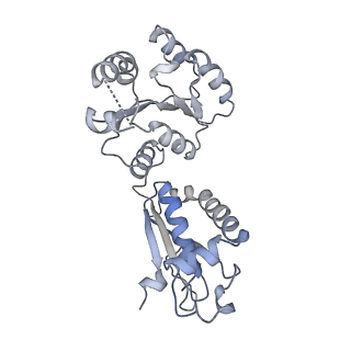 15785_8b0j_C_v1-3
CryoEM structure of bacterial RNaseE.RapZ.GlmZ complex central to the control of cell envelope biogenesis
