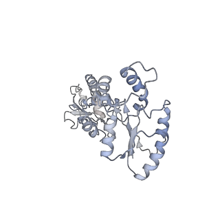 15785_8b0j_D_v1-3
CryoEM structure of bacterial RNaseE.RapZ.GlmZ complex central to the control of cell envelope biogenesis