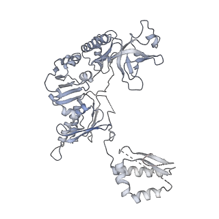 15785_8b0j_L_v1-3
CryoEM structure of bacterial RNaseE.RapZ.GlmZ complex central to the control of cell envelope biogenesis