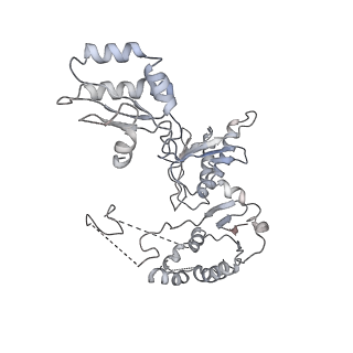 15785_8b0j_N_v1-3
CryoEM structure of bacterial RNaseE.RapZ.GlmZ complex central to the control of cell envelope biogenesis