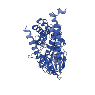 15788_8b0m_A_v1-0
Cryo-EM structure of apolipoprotein N-acyltransferase Lnt from E. coli in complex with PE (C387S mutant)