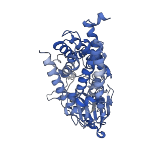 15790_8b0o_A_v1-0
Cryo-EM structure apolipoprotein N-acyltransferase Lnt from E.coli in complex with FP3