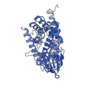 15791_8b0p_A_v1-0
Cryo-EM structure of apolipoprotein N-acyltransferase Lnt from E. coli in complex with Pam3