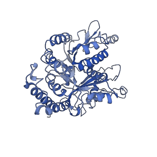 7027_6b0i_A_v1-3
Apo KLP10A in complex with a microtubule