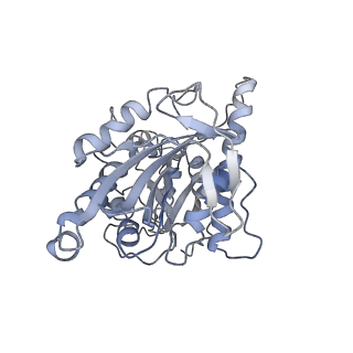 7027_6b0i_K_v1-3
Apo KLP10A in complex with a microtubule