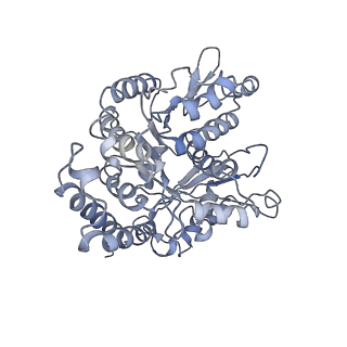 7028_6b0l_A_v1-3
KLP10A-AMPPNP in complex with a microtubule