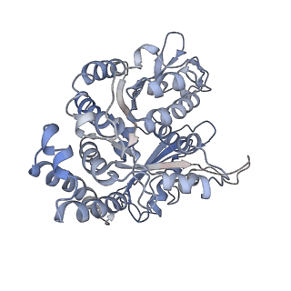 7028_6b0l_B_v1-3
KLP10A-AMPPNP in complex with a microtubule