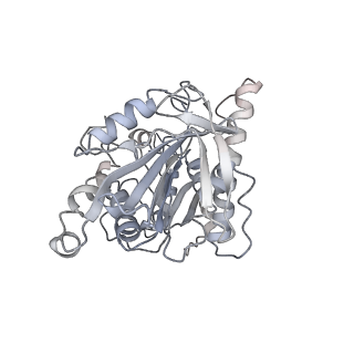 7028_6b0l_K_v1-3
KLP10A-AMPPNP in complex with a microtubule