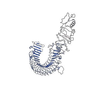 11984_7b1d_C_v1-1
Cryo-EM of Aedes Aegypti Toll5A