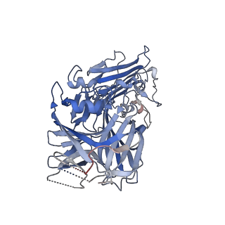 15802_8b14_B_v1-0
T5 Receptor Binding Protein pb5 in complex with its E. coli receptor FhuA