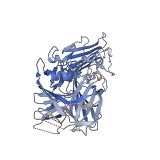 15802_8b14_B_v1-1
T5 Receptor Binding Protein pb5 in complex with its E. coli receptor FhuA