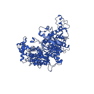 15803_8b1r_C_v1-0
RecBCD in complex with the phage protein gp5.9