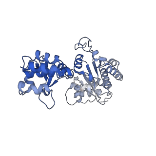 15803_8b1r_D_v1-0
RecBCD in complex with the phage protein gp5.9