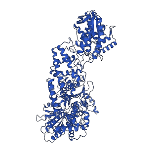15804_8b1t_C_v1-0
RecBCD-DNA in complex with the phage protein Abc2