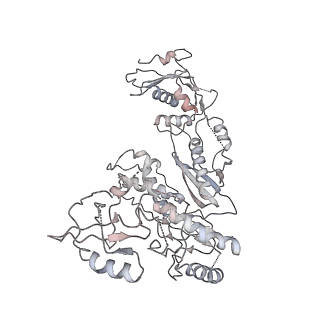 7031_6b19_A_v1-3
Architecture of HIV-1 reverse transcriptase initiation complex core