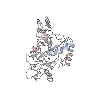 7031_6b19_B_v1-2
Architecture of HIV-1 reverse transcriptase initiation complex core