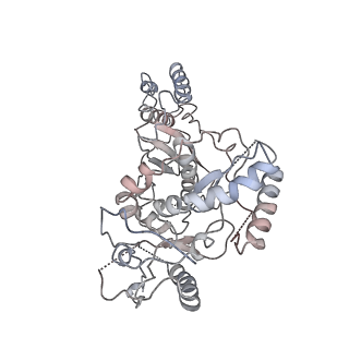 7031_6b19_B_v1-3
Architecture of HIV-1 reverse transcriptase initiation complex core