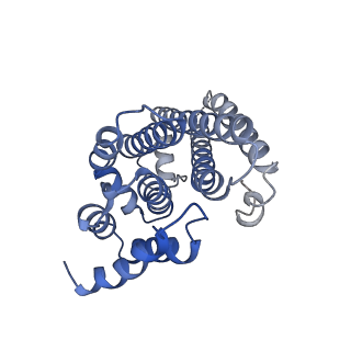 11987_7b2l_D_v1-1
Structure of the endocytic adaptor complex AENTH