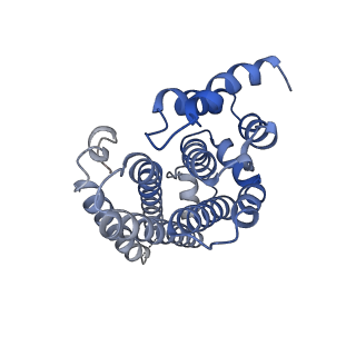 11987_7b2l_I_v1-1
Structure of the endocytic adaptor complex AENTH