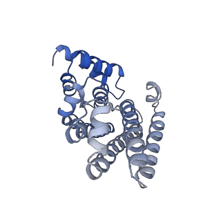 11987_7b2l_S_v1-1
Structure of the endocytic adaptor complex AENTH