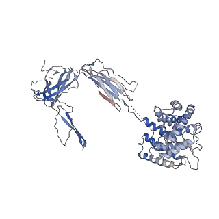11988_7b2m_B_v1-2
Cryo-EM structure of complement C4b in complex with nanobody E3