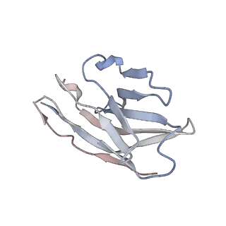 11988_7b2m_D_v1-2
Cryo-EM structure of complement C4b in complex with nanobody E3