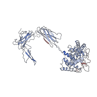 11989_7b2p_B_v1-2
Cryo-EM structure of complement C4b in complex with nanobody B5