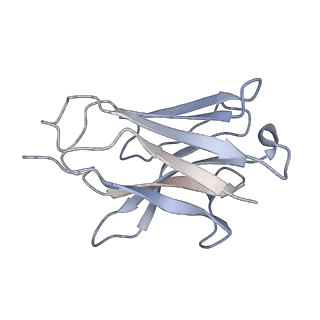 11989_7b2p_D_v1-2
Cryo-EM structure of complement C4b in complex with nanobody B5