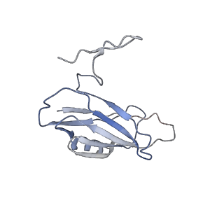 11990_7b2q_C_v1-2
Cryo-EM structure of complement C4b in complex with nanobody B12