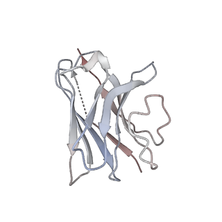 11990_7b2q_D_v1-2
Cryo-EM structure of complement C4b in complex with nanobody B12