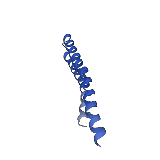 7036_6b2z_1_v1-5
Cryo-EM structure of the dimeric FO region of yeast mitochondrial ATP synthase