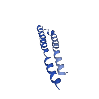 7036_6b2z_3_v1-5
Cryo-EM structure of the dimeric FO region of yeast mitochondrial ATP synthase