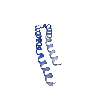 7036_6b2z_4_v1-4
Cryo-EM structure of the dimeric FO region of yeast mitochondrial ATP synthase
