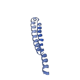 7036_6b2z_7_v1-4
Cryo-EM structure of the dimeric FO region of yeast mitochondrial ATP synthase