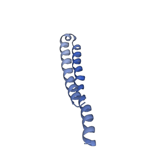 7036_6b2z_7_v1-5
Cryo-EM structure of the dimeric FO region of yeast mitochondrial ATP synthase