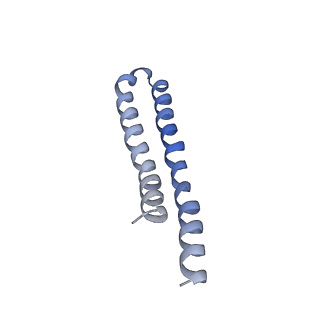 7036_6b2z_8_v1-5
Cryo-EM structure of the dimeric FO region of yeast mitochondrial ATP synthase