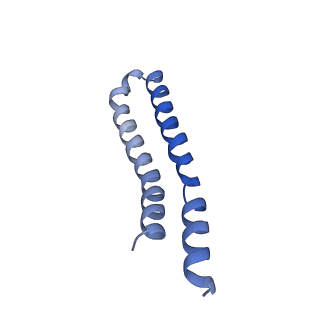 7036_6b2z_9_v1-5
Cryo-EM structure of the dimeric FO region of yeast mitochondrial ATP synthase