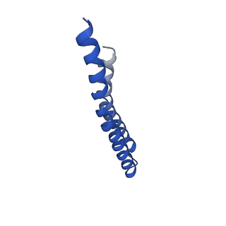 7036_6b2z_C_v1-5
Cryo-EM structure of the dimeric FO region of yeast mitochondrial ATP synthase