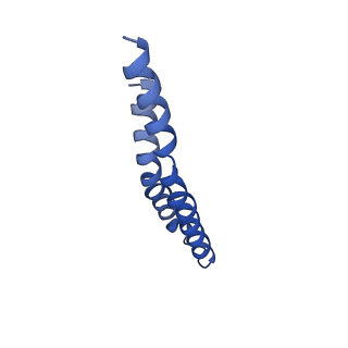 7036_6b2z_D_v1-5
Cryo-EM structure of the dimeric FO region of yeast mitochondrial ATP synthase