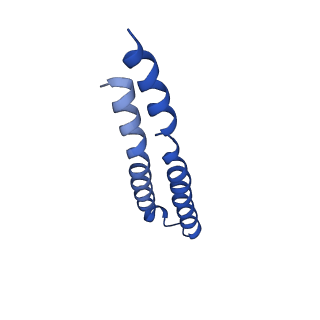 7036_6b2z_E_v1-5
Cryo-EM structure of the dimeric FO region of yeast mitochondrial ATP synthase