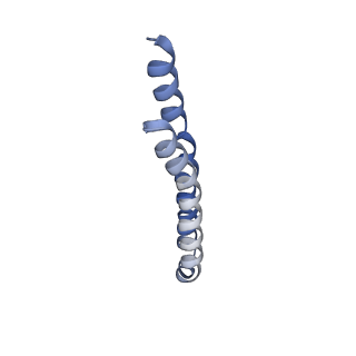 7036_6b2z_H_v1-5
Cryo-EM structure of the dimeric FO region of yeast mitochondrial ATP synthase