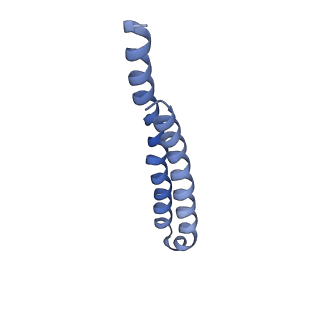 7036_6b2z_I_v1-5
Cryo-EM structure of the dimeric FO region of yeast mitochondrial ATP synthase