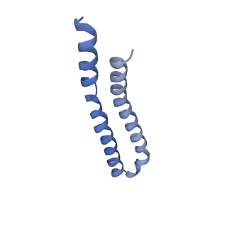 7036_6b2z_K_v1-5
Cryo-EM structure of the dimeric FO region of yeast mitochondrial ATP synthase