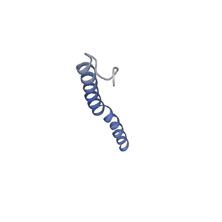 7036_6b2z_L_v1-5
Cryo-EM structure of the dimeric FO region of yeast mitochondrial ATP synthase