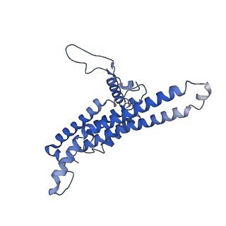 7036_6b2z_M_v1-4
Cryo-EM structure of the dimeric FO region of yeast mitochondrial ATP synthase
